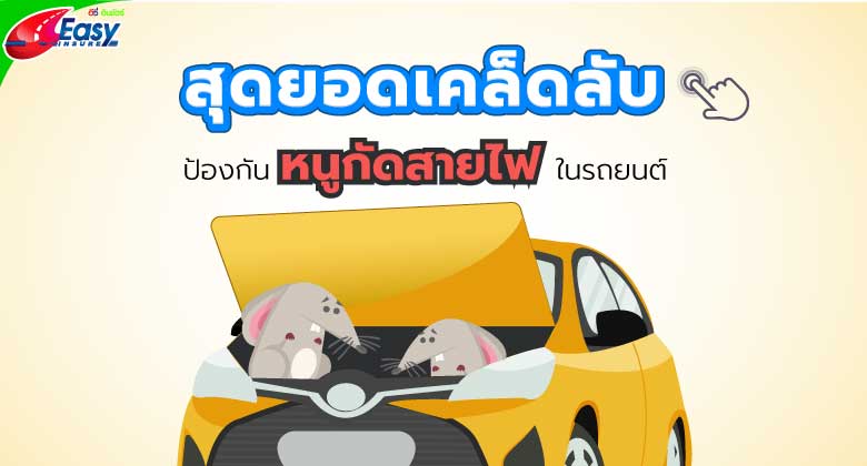 ป้องกันหนูบ้านเข้ามากัดสายไฟได้ด้วยวิธีง่ายๆ